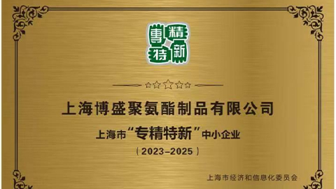 公司營收突破8000萬，被上海市經濟和信息化委員會評定為“專精特新”中小企業(yè)，公司制定和實施“兩化一增長”的第一個五年計劃。